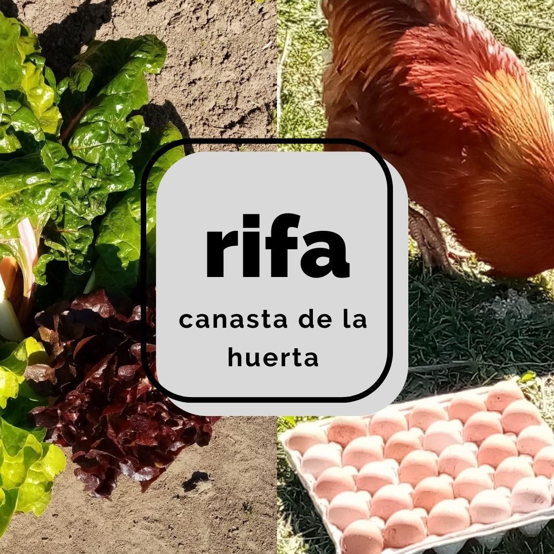 Canasta de la huerta